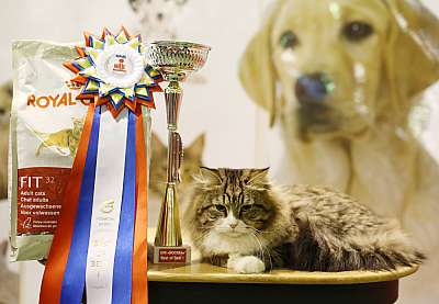 �������� ����� '���-�����-�������' 18-19 ������� 2014 1-57-169A4477 copy.jpg